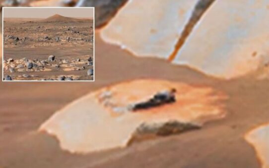 UFO enthusiast 'proves' life on Mars after discovering sunbathing alien in NASA image