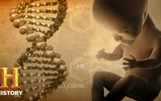 Scientists Find Alien Code ‘Embedded’ In Human DNA: Evidence Of Ancient Alien Engineers?